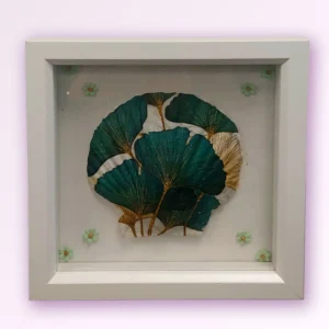 Ginko Leaf Framed Shell by Misbah